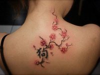 Тату цветы сакуры и иероглиф