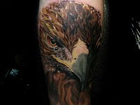 Тату орел на предплечье