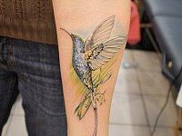 тату на руке колибри