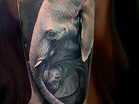 Тату слон со слоненком