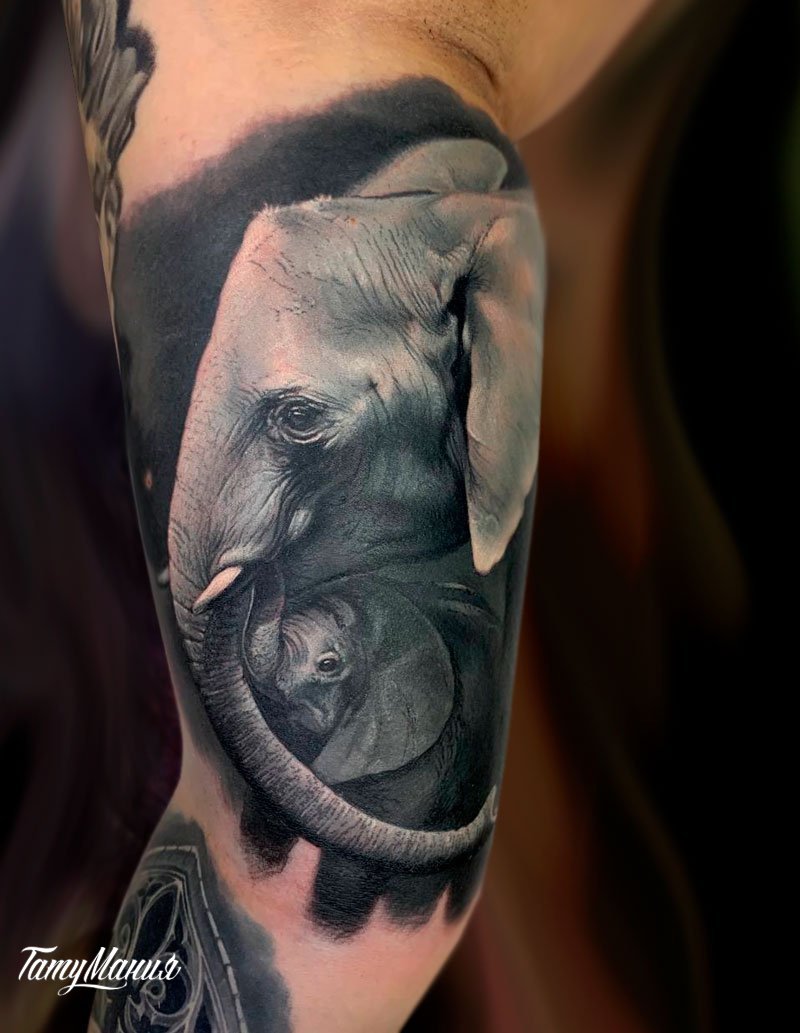 Тату слон со слоненком