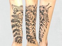 Тату мотылек и папоротник