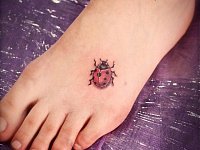 тату божья коровка на ноге