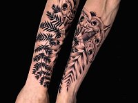 Тату мотылек с папортником