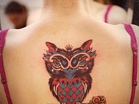 Тату сова на спине