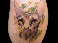 Тату сфинкс на икре