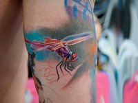 тату стрекоза