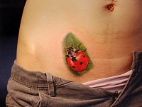 Небольшая интим тату божья коровка