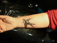 Тату ласточка на запястье