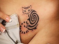 Женская тату интим чеширский кот