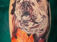 Татуировка бульдог