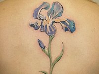 Тату ирис на  спине