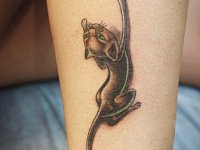 тату кошка на ноге