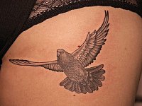 Татуировка голубь