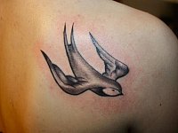 тату маленькая ласточка на лопатке