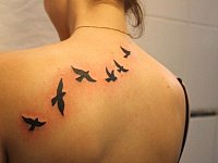 Тату летящие птицы на спине