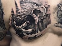 Тату орел на груди