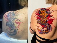 Обновление тату феникс