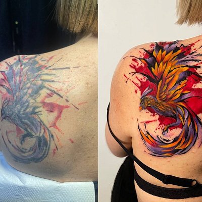 Обновление тату феникс