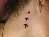 Небольшая тату птичка за ухом