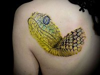 Тату змея на лопатке