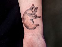 Тату котик на предплечье