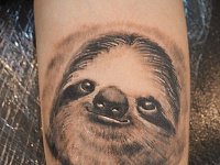 Тату ленивец