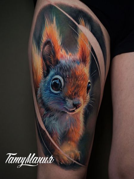 Тату белка на ноге