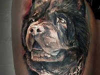 Тату собака акварель