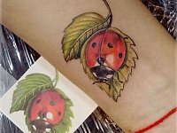 Тату божья коровка на запястье