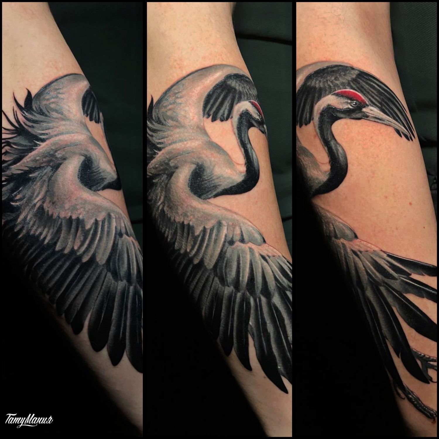Тату журавль на руке