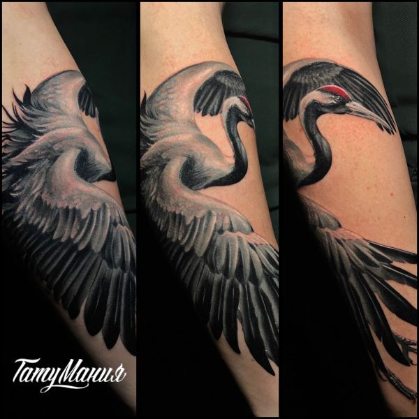 Тату журавль на руке