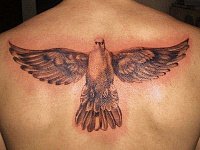 Тату птица голубь на пол спины