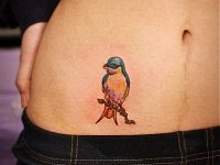 Тату птичка на животе