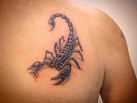 Тату 3д скорпион на лопатке