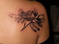 тату цветок лопатка