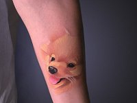 Тату шпиц на руке