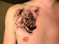 Тату гиена на груди