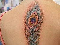 тату перо павлина на спине