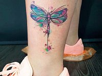 Тату стрекоза на ноге