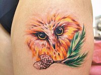 тату сова и шишки