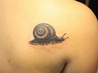 Татуировка улитка